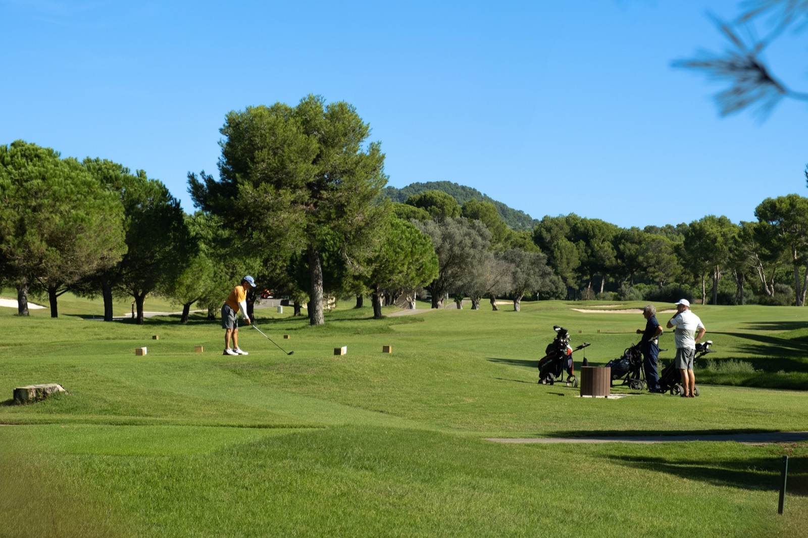 La Victoria y Coll Baix | Paisajes Salvajes de Alcúdia