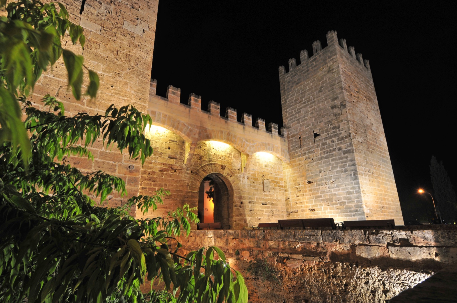 S'Albufereta y S'Albufera | Naturaleza y Aves cerca de Alcúdia